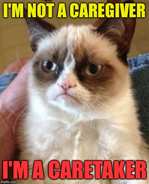 Grumpy Cat Meme | I'M NOT A CAREGIVER; I'M A CARETAKER | image tagged in memes,grumpy cat | made w/ Imgflip meme maker