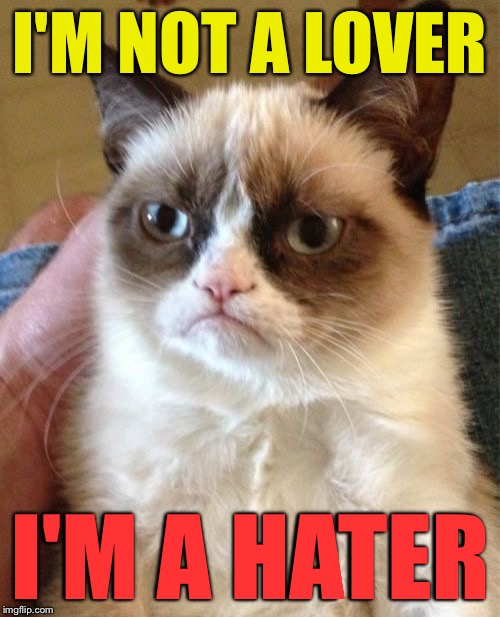 Grumpy Cat Meme | I'M NOT A LOVER; I'M A HATER | image tagged in memes,grumpy cat | made w/ Imgflip meme maker