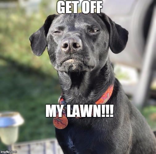 GET OFF; MY LAWN!!! | made w/ Imgflip meme maker