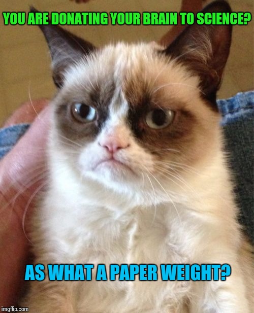 Grumpy Cat Meme | YOU ARE DONATING YOUR BRAIN TO SCIENCE? AS WHAT A PAPER WEIGHT? | image tagged in memes,grumpy cat | made w/ Imgflip meme maker