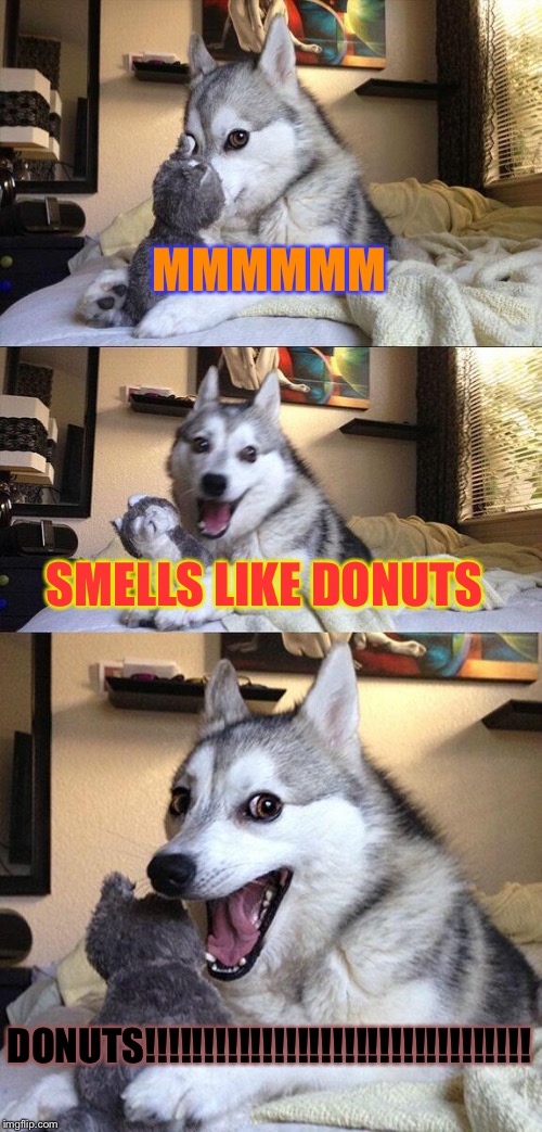 Bad Pun Dog | MMMMMM; SMELLS LIKE DONUTS; DONUTS!!!!!!!!!!!!!!!!!!!!!!!!!!!!!!!!! | image tagged in memes,bad pun dog | made w/ Imgflip meme maker