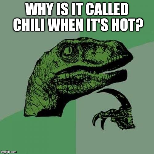 Philosoraptor Meme |  WHY IS IT CALLED CHILI WHEN IT'S HOT? | image tagged in memes,philosoraptor | made w/ Imgflip meme maker