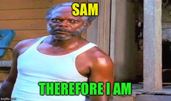 SAM THEREFORE I AM | made w/ Imgflip meme maker