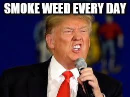 Trump memes | SMOKE WEED EVERY DAY | image tagged in memes | made w/ Imgflip meme maker