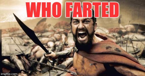 who farted | WHO FARTED | image tagged in memes,sparta leonidas | made w/ Imgflip meme maker