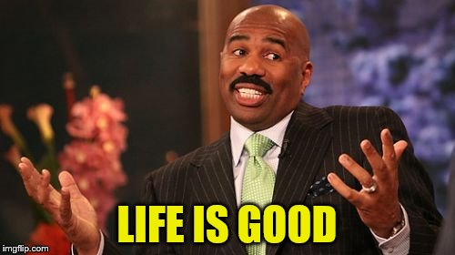 Steve Harvey Meme | LIFE IS GOOD | image tagged in memes,steve harvey | made w/ Imgflip meme maker