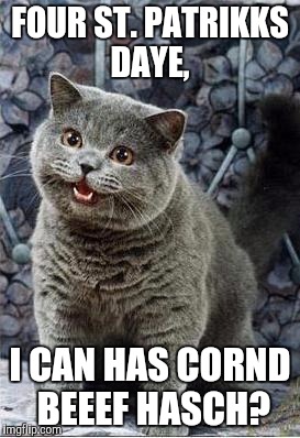 Cats like corned beef hash...seriously. | FOUR ST. PATRIKKS DAYE, I CAN HAS CORND BEEEF HASCH? | image tagged in i can has cheezburger cat | made w/ Imgflip meme maker