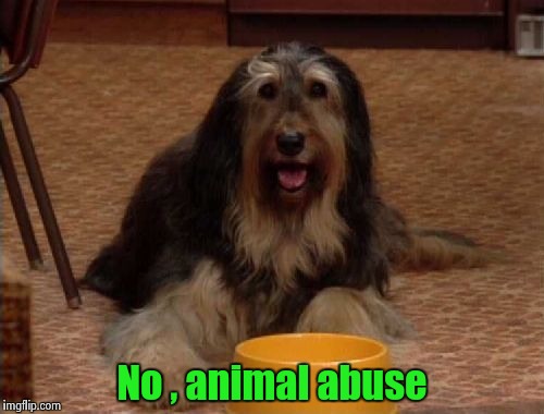 Buck Bundy | No , animal abuse | image tagged in buck bundy | made w/ Imgflip meme maker