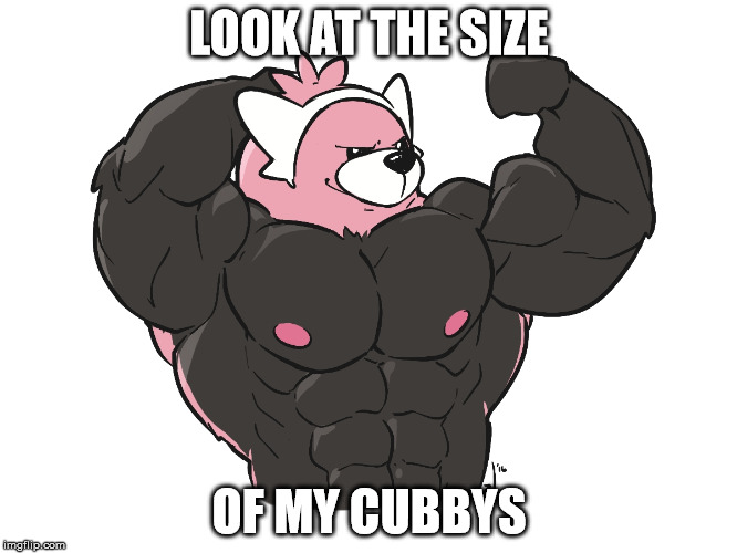LOOK AT THE SIZE; OF MY CUBBYS | image tagged in cubbies | made w/ Imgflip meme maker