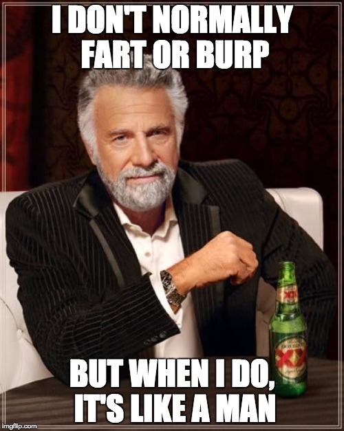The Most Interesting Man In The World Meme | I DON'T NORMALLY FART OR BURP; BUT WHEN I DO, IT'S LIKE A MAN | image tagged in memes,the most interesting man in the world | made w/ Imgflip meme maker