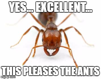 YES... EXCELLENT... THIS PLEASES THE ANTS | image tagged in ant | made w/ Imgflip meme maker