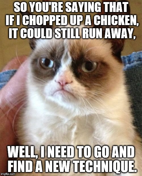 Grumpy Cat | SO YOU'RE SAYING THAT IF I CHOPPED UP A CHICKEN, IT COULD STILL RUN AWAY, WELL, I NEED TO GO AND FIND A NEW TECHNIQUE. | image tagged in memes,grumpy cat | made w/ Imgflip meme maker