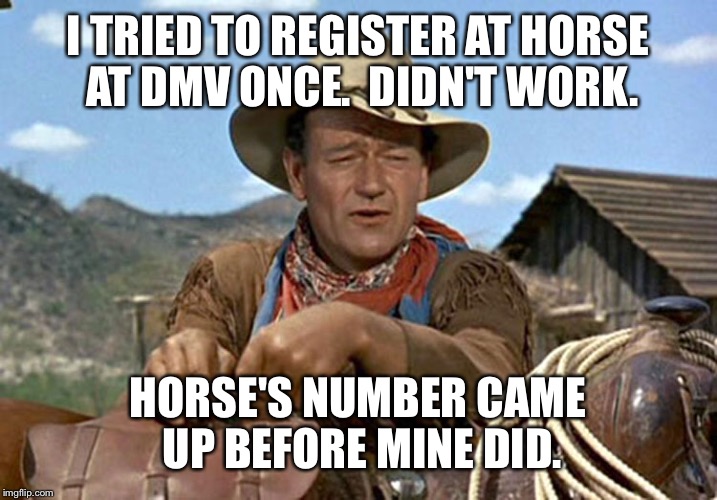 I TRIED TO REGISTER AT HORSE AT DMV ONCE.  DIDN'T WORK. HORSE'S NUMBER CAME UP BEFORE MINE DID. | made w/ Imgflip meme maker