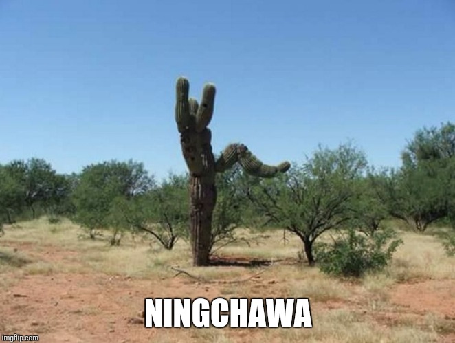 NINGCHAWA | image tagged in ur6ix danielsan | made w/ Imgflip meme maker