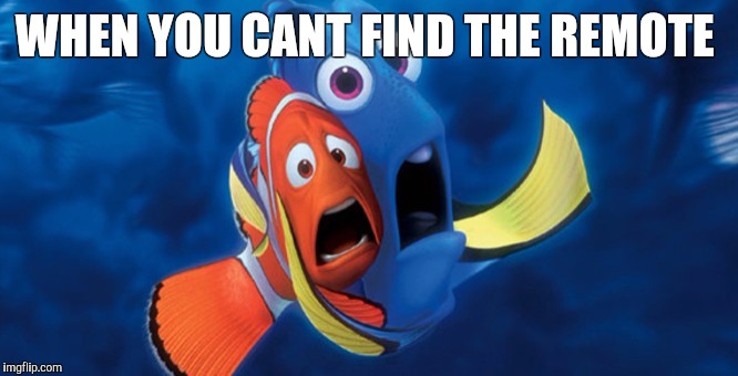 Dory Scared | WHEN YOU CANT FIND THE REMOTE | image tagged in dory scared | made w/ Imgflip meme maker