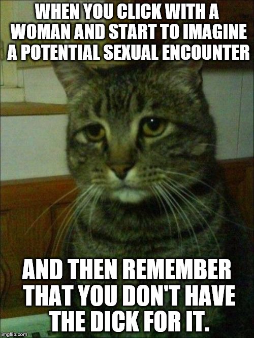 Depressed Cat Meme | WHEN YOU CLICK WITH A WOMAN AND START TO IMAGINE A POTENTIAL SEXUAL ENCOUNTER; AND THEN REMEMBER THAT YOU DON'T HAVE THE DICK FOR IT. | image tagged in memes,depressed cat | made w/ Imgflip meme maker