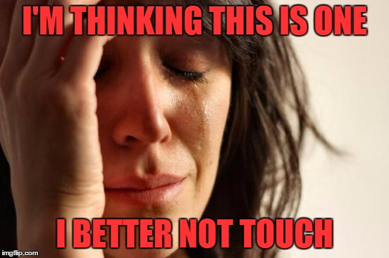 First World Problems Meme | I'M THINKING THIS IS ONE I BETTER NOT TOUCH | image tagged in memes,first world problems | made w/ Imgflip meme maker