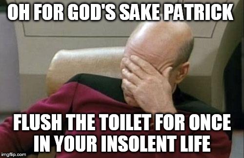 Captain Picard Facepalm | OH FOR GOD'S SAKE PATRICK; FLUSH THE TOILET FOR ONCE IN YOUR INSOLENT LIFE | image tagged in memes,captain picard facepalm | made w/ Imgflip meme maker
