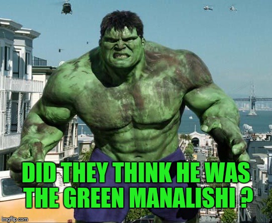 DID THEY THINK HE WAS THE GREEN MANALISHI ? | image tagged in hulk | made w/ Imgflip meme maker