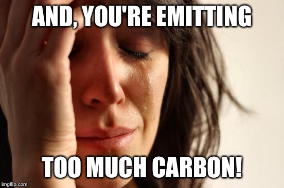 First World Problems Meme | AND, YOU'RE EMITTING TOO MUCH CARBON! | image tagged in memes,first world problems | made w/ Imgflip meme maker
