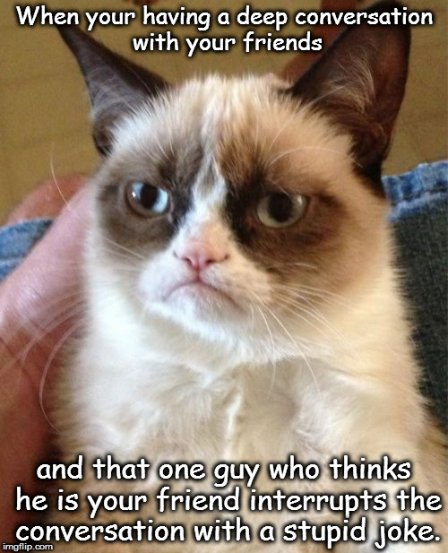 Grumpy Cat | When your having a deep conversation with your friends; and that one guy who thinks he is your friend interrupts the conversation with a stupid joke. | image tagged in memes,grumpy cat | made w/ Imgflip meme maker
