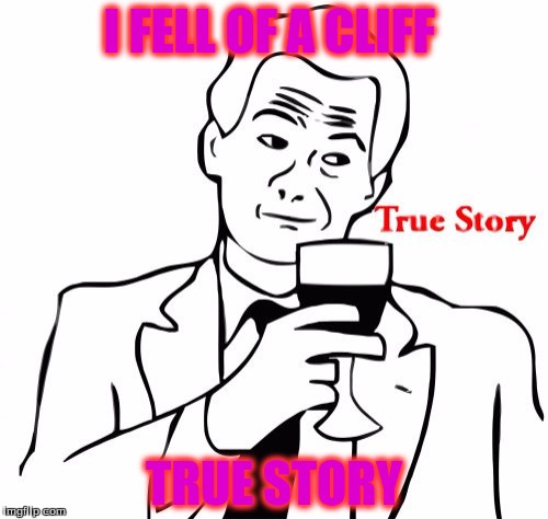True Story Meme | I FELL OF A CLIFF; TRUE STORY | image tagged in memes,true story | made w/ Imgflip meme maker