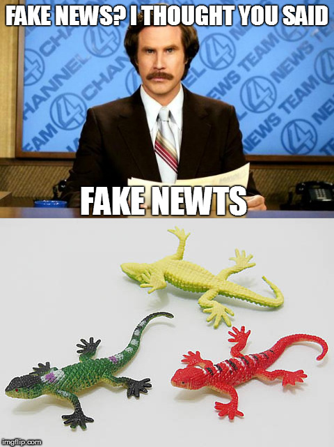 Tonight at ten.. | FAKE NEWS? I THOUGHT YOU SAID; FAKE NEWTS | image tagged in news | made w/ Imgflip meme maker
