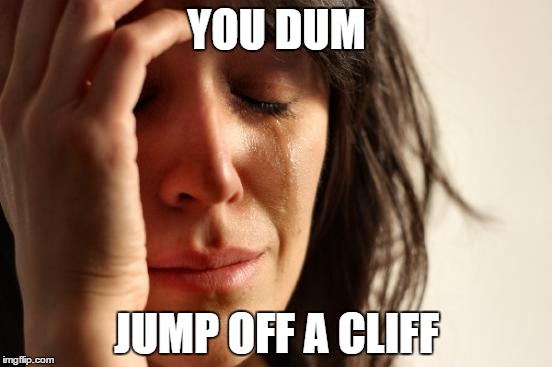 First World Problems Meme | YOU DUM; JUMP OFF A CLIFF | image tagged in memes,first world problems | made w/ Imgflip meme maker