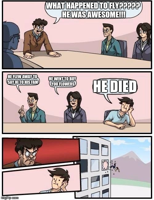 Boardroom Meeting Suggestion | WHAT HAPPENED TO FLY????? HE WAS AWESOME!!! HE FLEW AWAY TO SAY HI TO HIS FAM; HE WENT TO BUY YOU FLOWERS; HE DIED | image tagged in memes,boardroom meeting suggestion | made w/ Imgflip meme maker