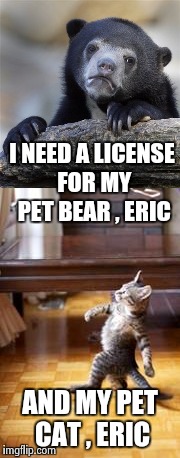 I NEED A LICENSE FOR MY PET BEAR , ERIC AND MY PET CAT , ERIC | made w/ Imgflip meme maker