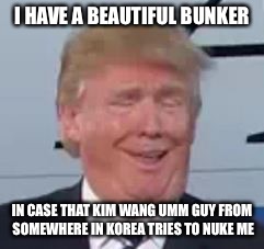 I HAVE A BEAUTIFUL BUNKER IN CASE THAT KIM WANG UMM GUY FROM SOMEWHERE IN KOREA TRIES TO NUKE ME | made w/ Imgflip meme maker