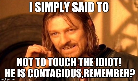 One Does Not Simply | I SIMPLY SAID TO; NOT TO TOUCH THE IDIOT! HE IS CONTAGIOUS,REMEMBER? | image tagged in memes,one does not simply | made w/ Imgflip meme maker