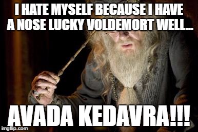 I HATE MYSELF BECAUSE I HAVE A NOSE LUCKY VOLDEMORT WELL... AVADA KEDAVRA!!! | image tagged in dumbledoor | made w/ Imgflip meme maker