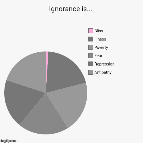 More than bliss? | image tagged in society,pie charts,knowledge,ignorance | made w/ Imgflip chart maker