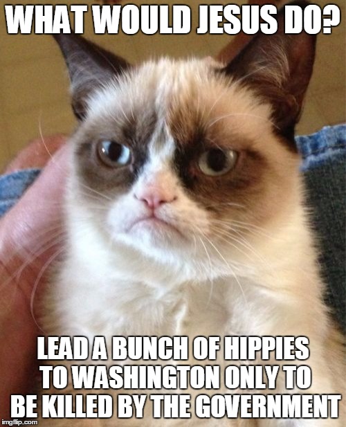 Grumpy Cat Meme | WHAT WOULD JESUS DO? LEAD A BUNCH OF HIPPIES TO WASHINGTON ONLY TO BE KILLED BY THE GOVERNMENT | image tagged in memes,grumpy cat | made w/ Imgflip meme maker