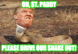 OH, ST. PADDY; PLEASE DRIVE OUR SNAKE OUT! | image tagged in donald trump,snake,st patrick's day | made w/ Imgflip meme maker