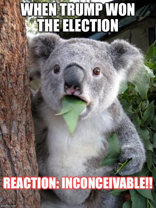 Surprised Koala Meme | WHEN TRUMP WON THE ELECTION; REACTION: INCONCEIVABLE!! | image tagged in memes,surprised koala | made w/ Imgflip meme maker
