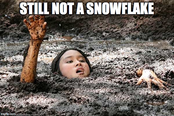 Quicksand | STILL NOT A SNOWFLAKE | image tagged in quicksand | made w/ Imgflip meme maker