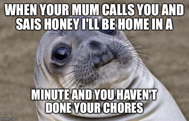 Awkward Moment Sealion | WHEN YOUR MUM CALLS YOU AND SAIS HONEY I'LL BE HOME IN A; MINUTE AND YOU HAVEN'T DONE YOUR CHORES | image tagged in memes,awkward moment sealion | made w/ Imgflip meme maker