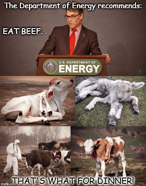 The Department of Energy - Secretary Rick Perry | The Department of Energy recommends:; EAT BEEF. THAT'S WHAT FOR DINNER! | image tagged in rick perry,beef,resistance | made w/ Imgflip meme maker