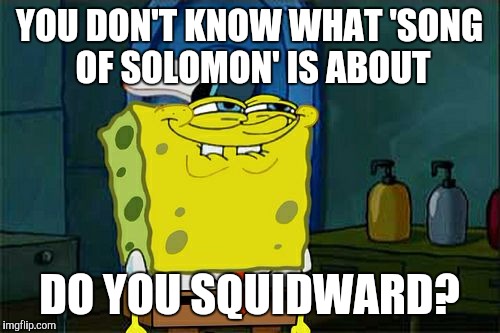 Don't You Squidward | YOU DON'T KNOW WHAT 'SONG OF SOLOMON' IS ABOUT; DO YOU SQUIDWARD? | image tagged in memes,dont you squidward | made w/ Imgflip meme maker