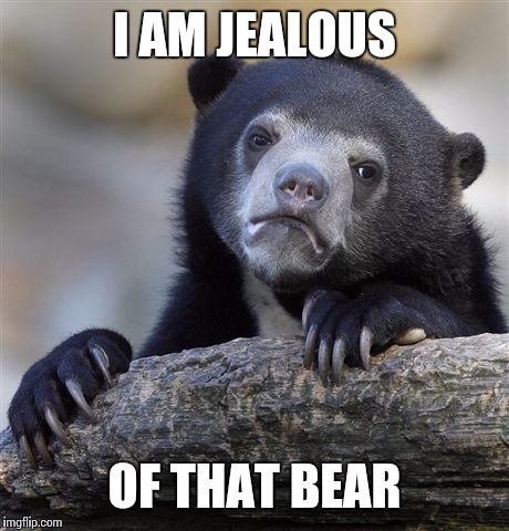 Confession Bear Meme | I AM JEALOUS OF THAT BEAR | image tagged in memes,confession bear | made w/ Imgflip meme maker