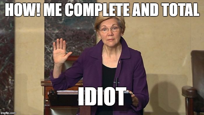 liar  | HOW! ME COMPLETE AND TOTAL; IDIOT | image tagged in elizabeth warren | made w/ Imgflip meme maker
