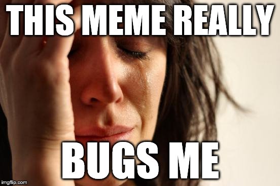 First World Problems Meme | THIS MEME REALLY BUGS ME | image tagged in memes,first world problems | made w/ Imgflip meme maker