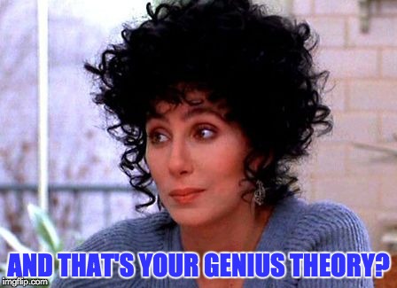 You Think You're A Genius? | AND THAT'S YOUR GENIUS THEORY? | image tagged in cher,genius,what an idiot,wtf,memes | made w/ Imgflip meme maker