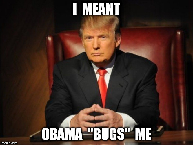 donald trump | I  MEANT; OBAMA  "BUGS"  ME | image tagged in donald trump | made w/ Imgflip meme maker
