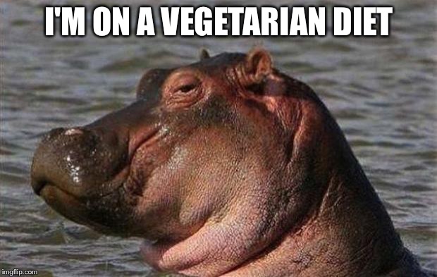 Hippo | I'M ON A VEGETARIAN DIET | image tagged in hippo | made w/ Imgflip meme maker