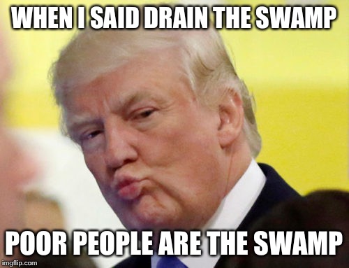 Rule thirty four | WHEN I SAID DRAIN THE SWAMP POOR PEOPLE ARE THE SWAMP | image tagged in rule thirty four | made w/ Imgflip meme maker