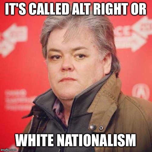 Steve bannon | IT'S CALLED ALT RIGHT OR WHITE NATIONALISM | image tagged in steve bannon | made w/ Imgflip meme maker