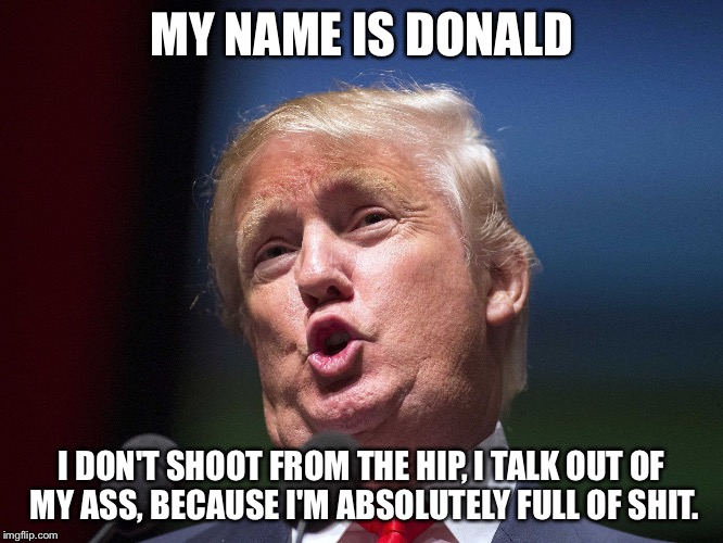 donald trump huge | MY NAME IS DONALD; I DON'T SHOOT FROM THE HIP, I TALK OUT OF MY ASS, BECAUSE I'M ABSOLUTELY FULL OF SHIT. | image tagged in donald trump huge | made w/ Imgflip meme maker
